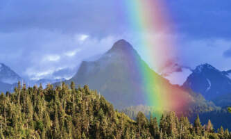 Odyssey Lodge 54 A4 C324 757 E 4 E8 B 9 F46 F1 C691 ACF590 1 100 o Meredith