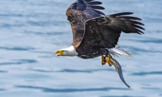 Odyssey Lodge Odyssey Lodge 9 Meredith