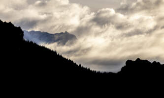 Odyssey Lodge Shorebird Photography Tour image00006 Meredith