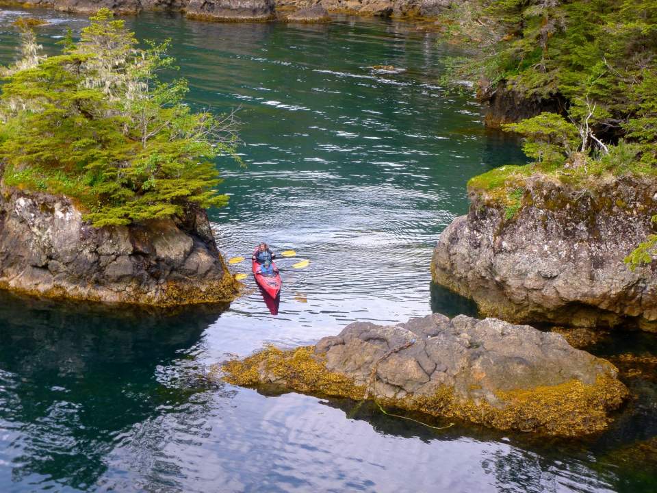 Two people kayaking in a lush Alaskan surrounding.