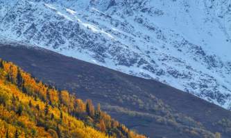 The Pilot Lodge Denali