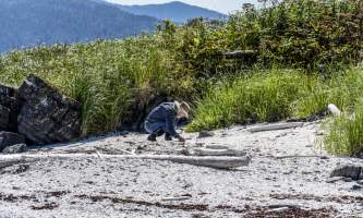The lodge at whale pass Charravia Beach comb face forward close up horizontal 2 Lucas Ryter