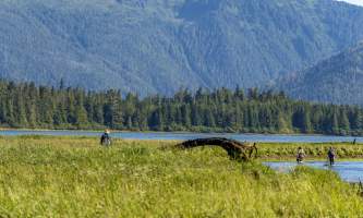 The lodge at whale pass Crew walking out of Calder Bay to boat horizontal Lucas Ryter