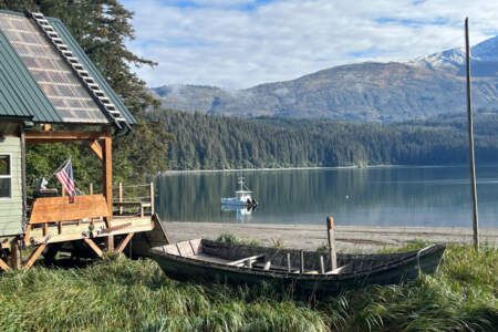 Treehouse Cove Wilderness Lodge