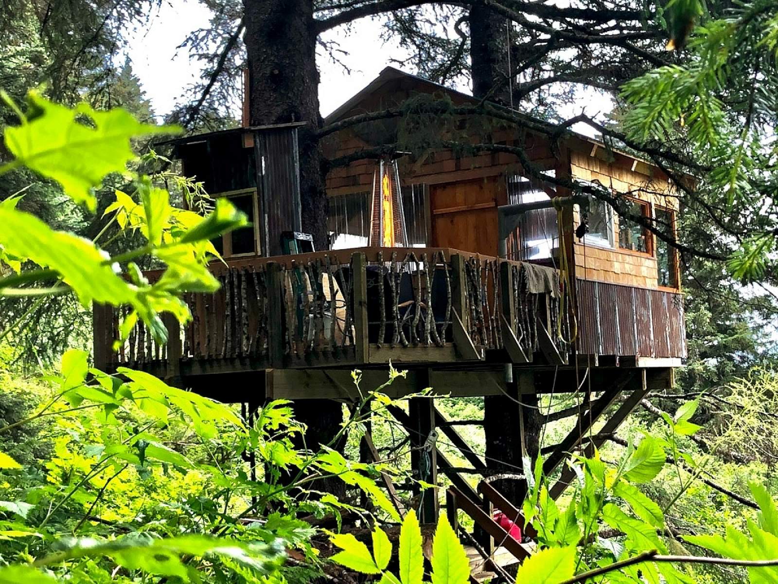 Treehouse Cove Wilderness Lodge