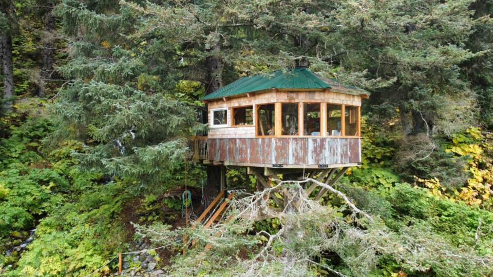 Treehouse Cove Wilderness Lodge offers Alaska's only oceanfront treehouse