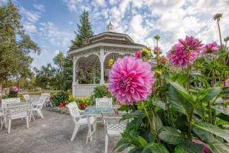7 3119 Wedgewood Gazebo8 alaska untitled