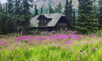 Chalet fireweed Christopher Thorgesen