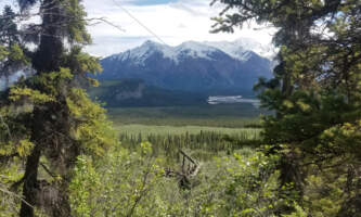 20180616 125608 Explore Fairbanks Victoria Regoalaska org wrangell mountain wilderness lodge