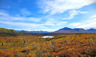 Lost Creek country in autumn A AK Marketing Images 2023 Victoria Regoalaska org wrangell mountain wilderness lodge
