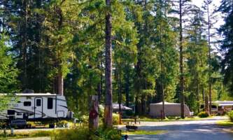 Glacier nalue campground RV sites 3 JPG