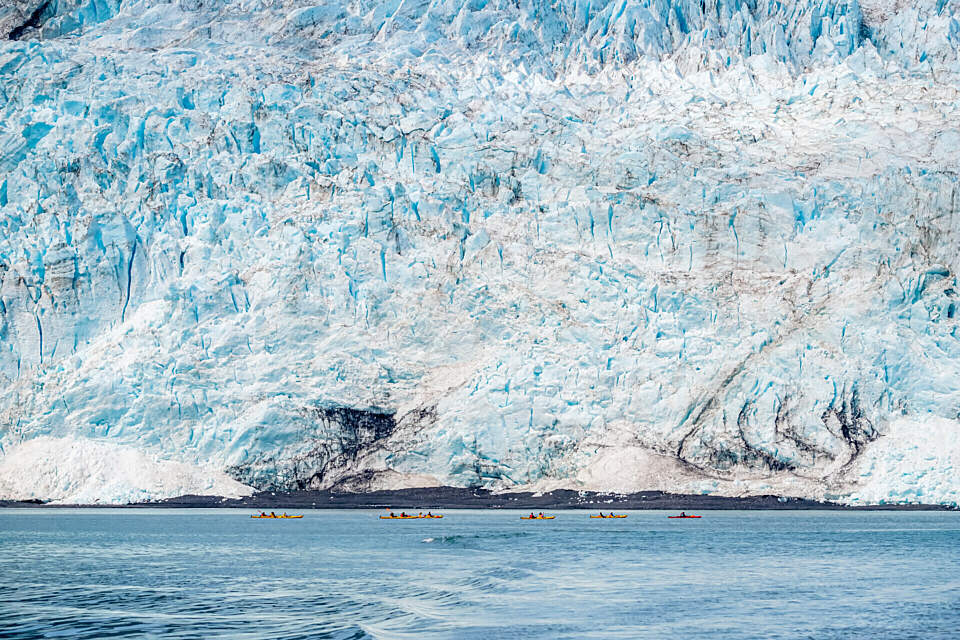 Paddle up to Holgate Glacier's face