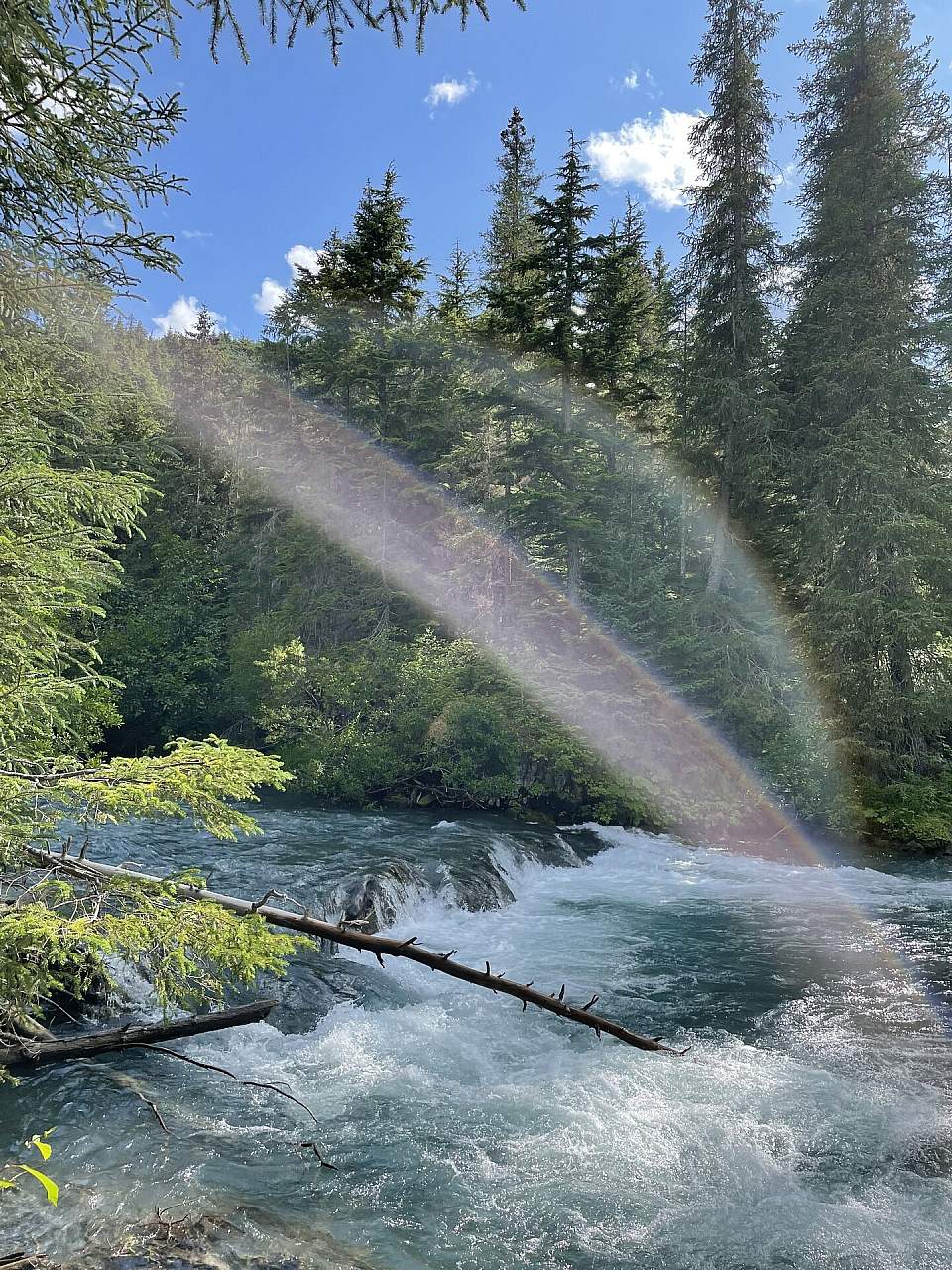 Ptarmigan Creek. Photo by Lisa Swenson