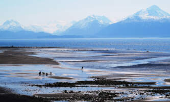 Bishops beach homer alaska