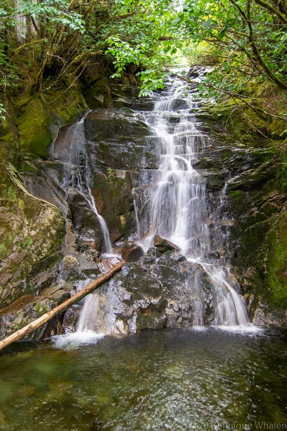 Step up a few boulders to gain a full view of the Tongass Waterfall emptying into a pool 30-feet directly below you.