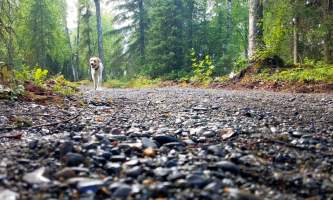 Joel Todd 20160802 191032 alaska untitled