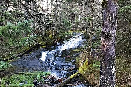 Emerald Cove Trail