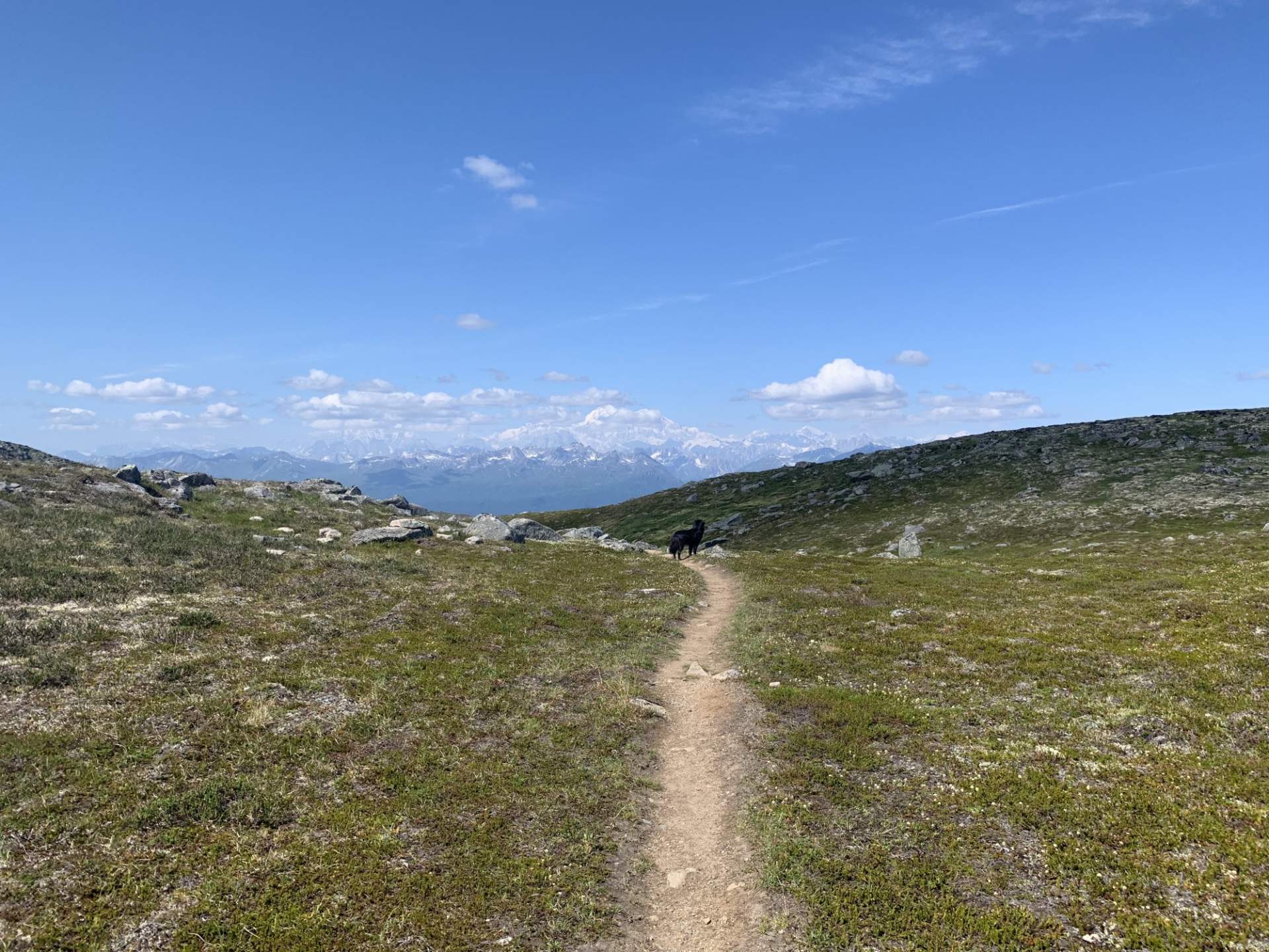 Alaska Range Looms over the Kesugi Ridge Trail