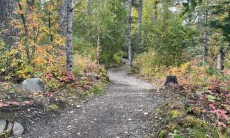 Trail view 4032 3024 alaska untitled