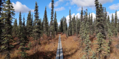 McKinley Bar Trail