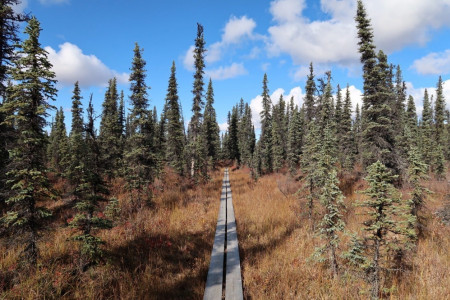 McKinley Bar Trail