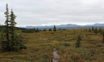Alaska mckinley bar trail alaska 812 mckliney bar river trail brandon hayes Brandon Hayes mckinley bar trail