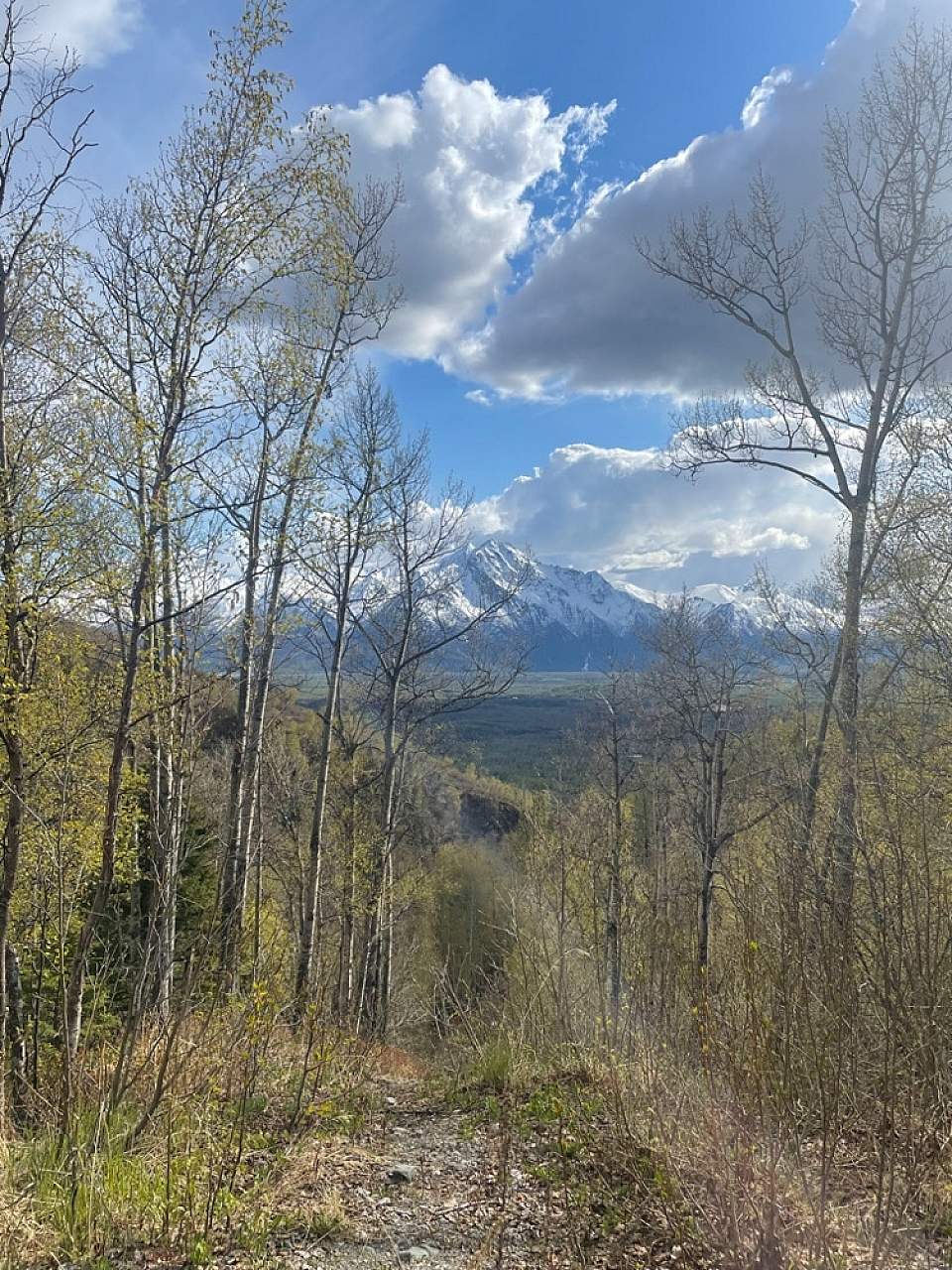 Mc Roberts Creek first views of Pioneer alaska alaska org parks trails palmer