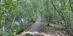 Palmer-Moose Creek RR Trail