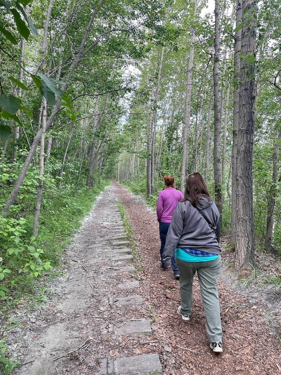 Rail trail Palmer side alaska alaska org parks trails