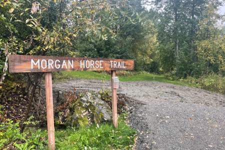 Morgan Horse Trail
