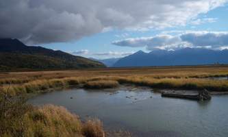 Alaska potters marsh 100 2798 Zen Godfrey Anchorage Coastal Wildlife Refuge