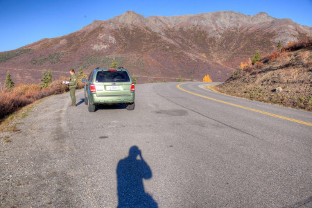 Primrose Ridge - Good Wildlife Viewing, Wildlflowers & Hiking (Mile 16)