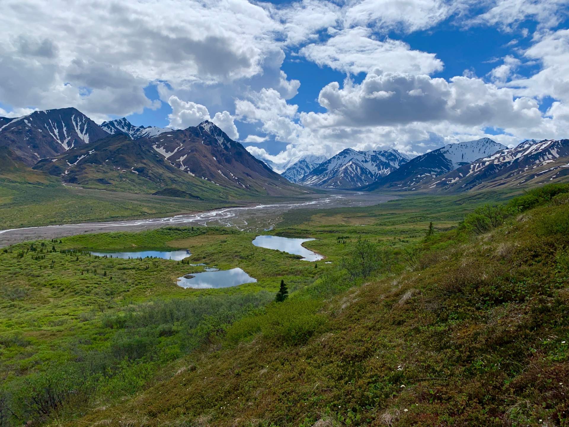 Descending towards the Teklanika River