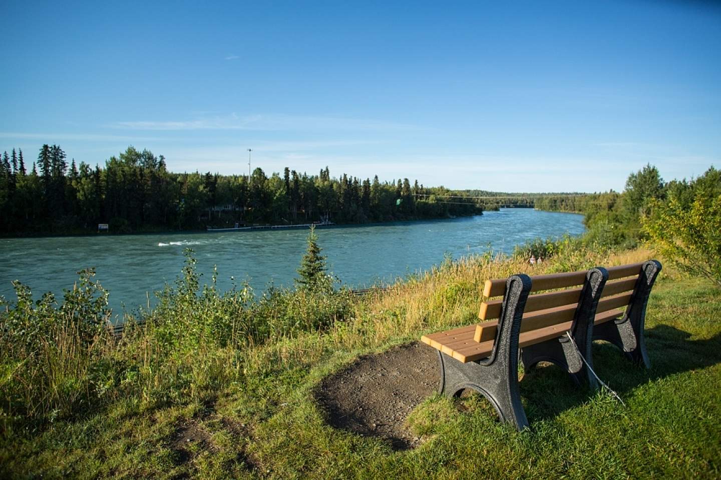 Soldotna Creek Park is an excellent place to relax and explore.