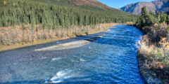 Upper Teklanika / Sanctuary River - Look for Dall Sheep & Bears (Mile 22)