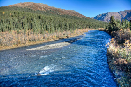 Upper Teklanika / Sanctuary River - Look for Dall Sheep & Bears (Mile 22)