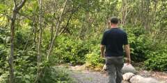 Whittier Creek Trail