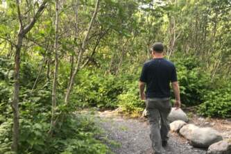 Whittier Creek Trail copy alaska whittier
