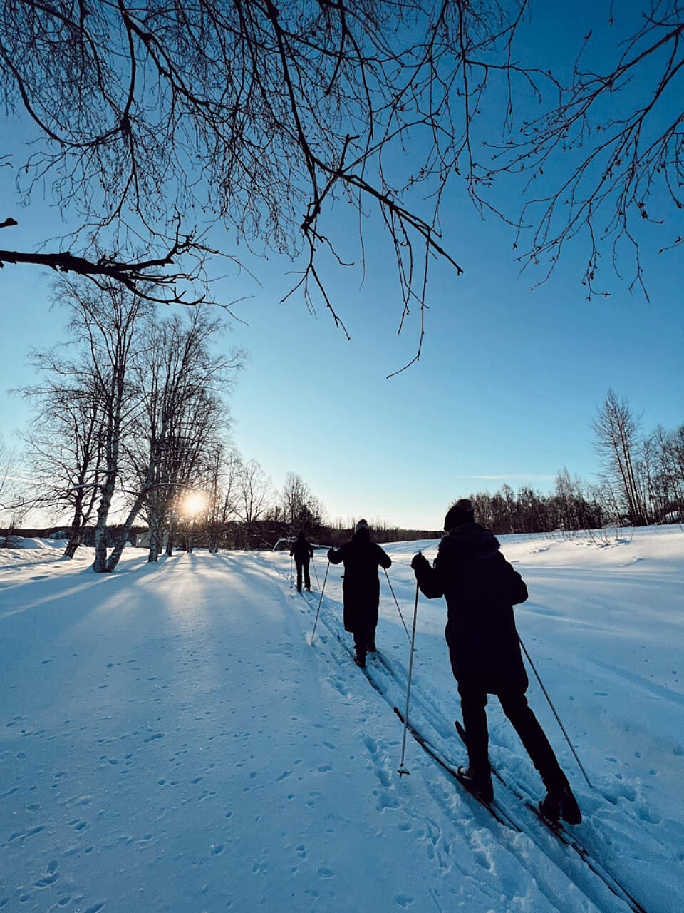 From Denali views to northern lights, every season in Talkeetna is unforgettable.