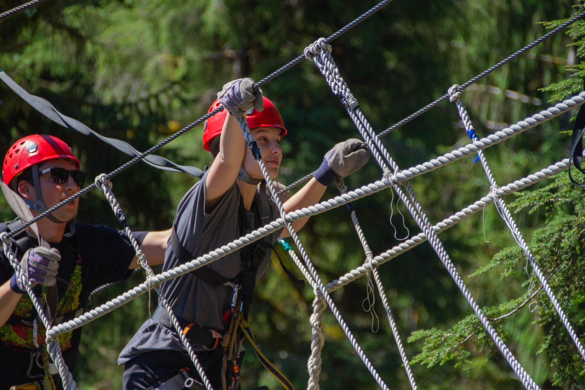 zipline-KTN_Rainforest_Zip-