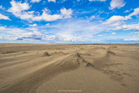 11 Kobuk Valley sand dunes Scott Adams