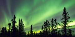 Fairbanks northern lights jeffrey cobble