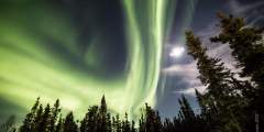 Northern lights denali fairbanks christopher frazier2019