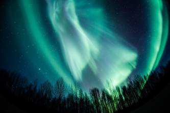 Northern lights talkeetna northern lights silas campbell2019