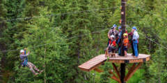 Denali Park Zipline 3