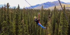 Denali Park Zipline 8