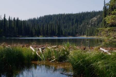 Horseshoe lake trail Screenshot 2024 06 21 at 10 55 07 AM