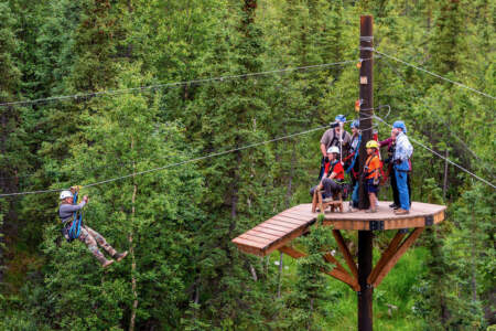 Denali Park Zipline 3