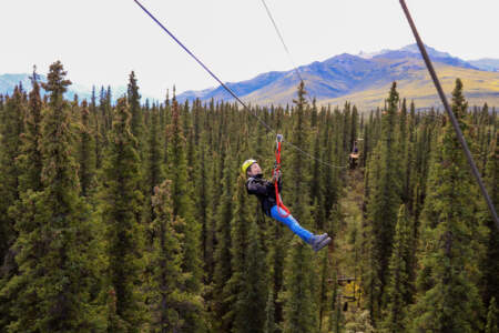 Denali Park Zipline 8