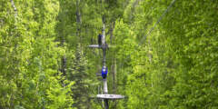 Denali Zipline Tours 433 F2 D36 7 E01 4372 8150 6 DCA223940 CB